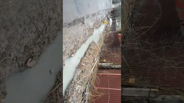 VID 20230327 140448 КАК ТОПЯТ ЛЮДЕЙ КАНАЛИЗАЦИЕЙ,В ТЕЧЕНИИ ЧЕТЫРЕХ ЛЕТ смотреть онлайн