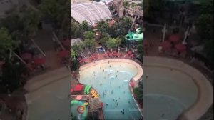 Андрей Чуев в сторис 29.01.2019.