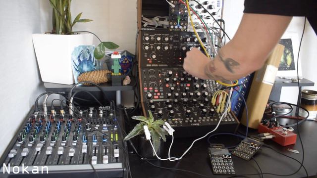 Cubicle |Po24 Office, Instruo Scion, Moog & Eurorack смотреть онлайн