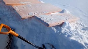 Как хранить овощи, когда нет погреба, но есть участок земли