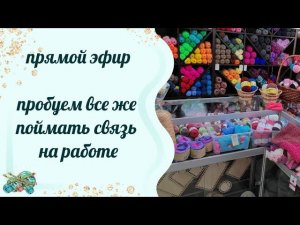 Хомячья норка. Пробуем Поймать Связь На Работе