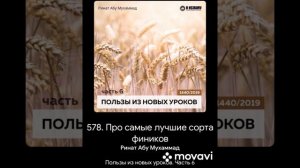 ПРО САМЫЕ ЛУЧШИЕ СОРТА ФИНИКОВ