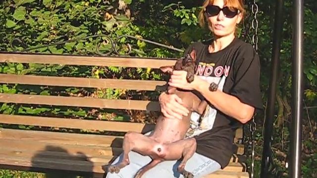 О ксолоитцкуинтли