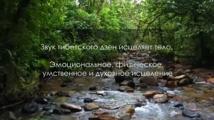 Звук тибетского дзен исцеляет тело. Эмоциональное, физическое, умственное и духовное исцеление
