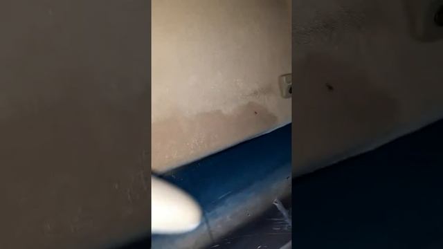 Проклейка потолка автомобиля смотреть онлайн