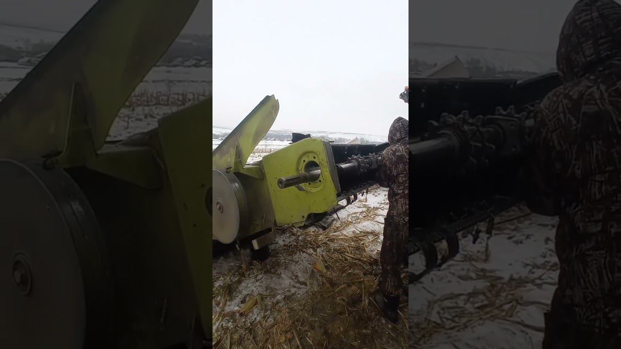 Уборка кукурузы Солдатское Claas tucano смотреть онлайн