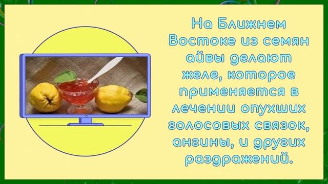 КОМУ НЕЛЬЗЯ ЕСТЬ АЙВУ? ПОЛЬЗА И ВРЕД смотреть онлайн