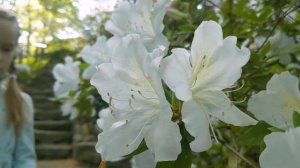 Жизнь в Южной Каролине. США