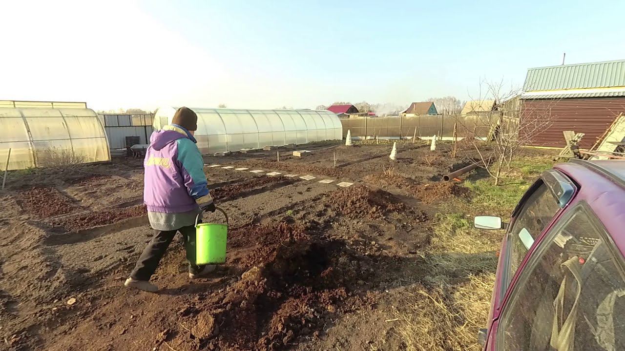 Осенние хлопоты ноябрь 2020