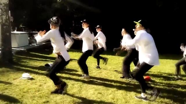 F1 - Hilton Garden Party - N.R.G Hop - выступление / Ирина Рудницкая & Dance Team F1-Istra смотреть онлайн