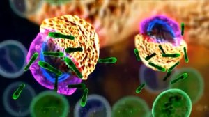 Диаскинтест.mp4