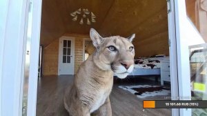 Прямой эфир. Куча новостей!