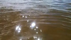 Голубой залив пляж. Б.О.Бережок.