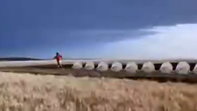 называется тюлени смотреть онлайн