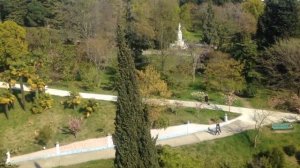 ЭКСКУРСИИ СОЧИ прогулка по Сочи дендрарий с Сергеем Прокофьевым: сочинский дендрарий