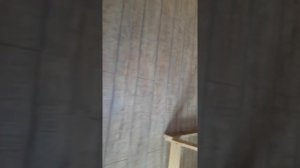 Как правильно сделать сауну