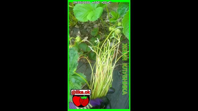 СРОЧНО ЭТО СДЕЛАЙ ПОКА ЕЩЁ НЕ ПОЗДНО смотреть онлайн