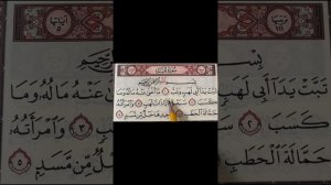 Сура Масад. Разбор ошибок