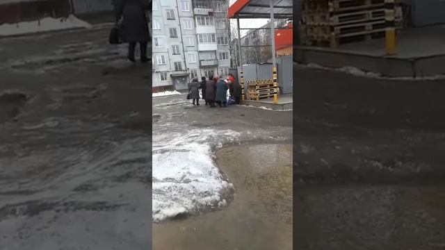 В Смоленске пенсионеры разбирают "просрочку" из супермаркета