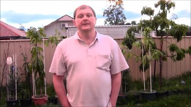 "Что день грядущий нам готовит?" Рамзес-662 смотреть онлайн