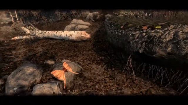 PRISMATIC INSECTS OF SKYRIM: Insect Mod!!- Xbox Modded Skyrim Mod Showcase