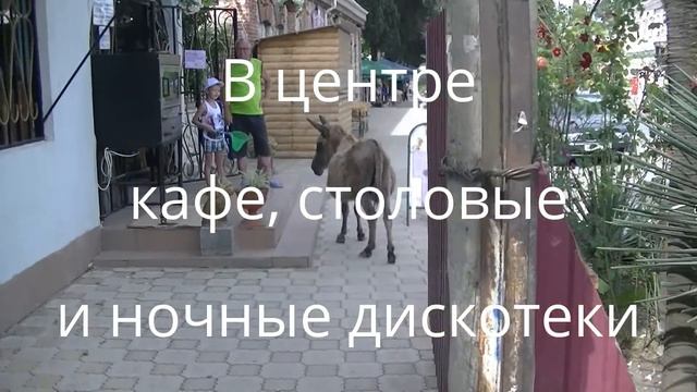 Цандрипш. Абхазия 2016. Куда сходить? смотреть онлайн