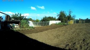 Культиватор КРОТ осенняя вспашка огорода