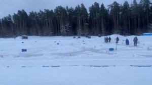 Ежедневное пополнение форелькой в Симбухово