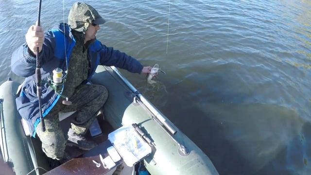 Раздача щукенций или уловистый воблер? Ловлю на Bearking Rerange 110SP, Ito Shiner 115SP смотреть онлайн