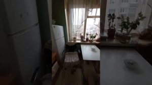 Продается комната по адресу: Воронеж, улица Антокольского, 8,