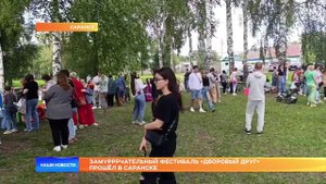 Замурррчательный фестиваль «Дворовый друг» прошёл в Саранске
