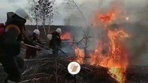 Проект "Байкальский патруль - профилактика, мониторинг, тушение лесных и торфяных пожаров "