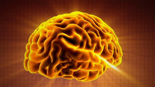 Comienza a comer pescado todos los días y descubre lo que le sucede a tu cuerpo смотреть онлайн