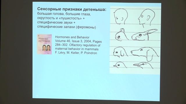 Дубынин В. А. - Физиология потребностей - Детско-родительское взаимодействие смотреть онлайн