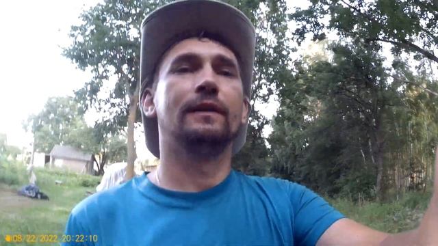 Голубика созрела.