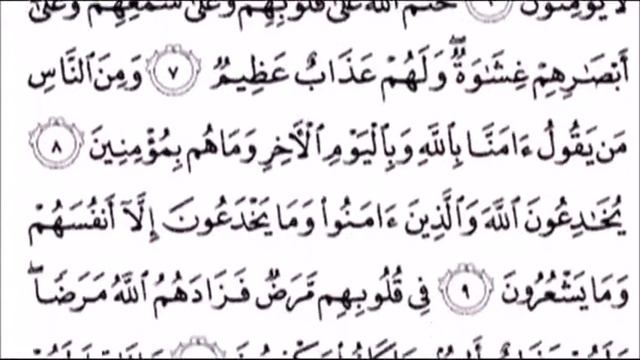 Европейский голубые глаза брат выбрал ислам смотреть онлайн