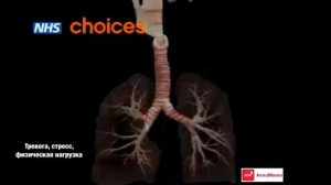 Лучшее объяснение что такое бронхиальная астма.