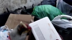 Топ Находки на Мусорке. Что можно найти в Помойке?