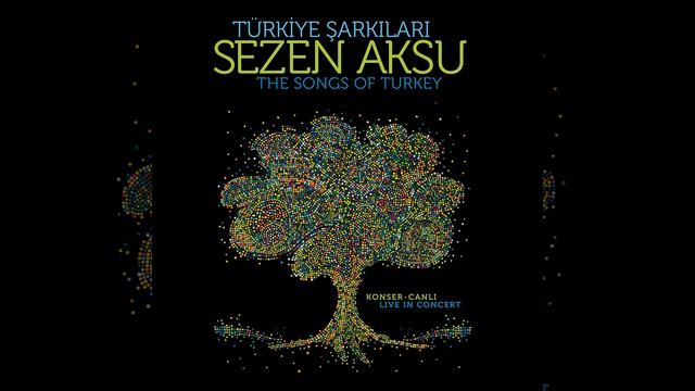 Git / Geri Dön / Beni Unutma (Canlı) смотреть онлайн