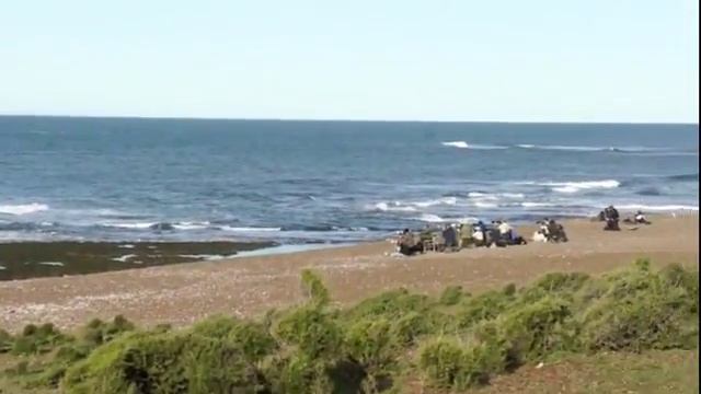 Аргентина Патагония Полуостров Вальдес Фотографы снимают касаток смотреть онлайн