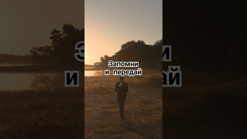 Очередная база от Стетхема #мудрость #цитаты #стетхем