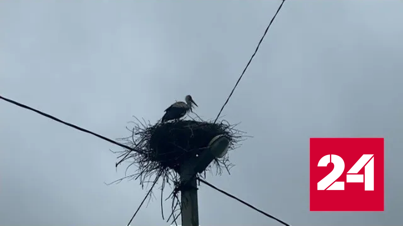 На Белгородчине продолжается активное восстановление разрушенных домов - Россия 24