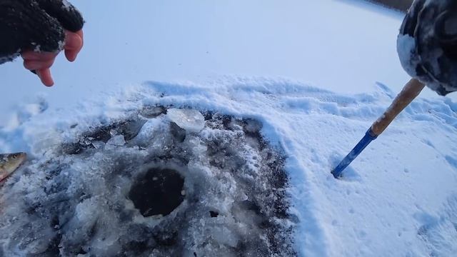 НА ЗАПРЕЩЁННУЮ ПРИМАНКУ В ДИКИХ КОРЯГАХ! ЭТУ СНАСТЬ Я БЫ ЗАПРЕТИЛ! ДЖИГА ДРЫГА! смотреть онлайн