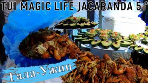 TUI MAGIC LIFE JACARANDA 5 *. Гала ужин Black&White Night. 4К - Видео