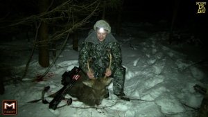 Охота с арбалетом на благородного оленя