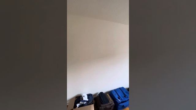 СНЯЛИ КВАРТИРУ В БРУКЛИНЕ ШТАТ НЬЮ-ЙОРК смотреть онлайн