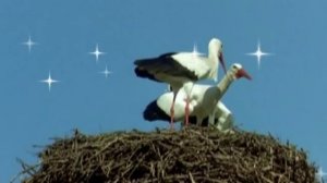 Андрей Ковалев и Диана Гурцкая-9 месяцев