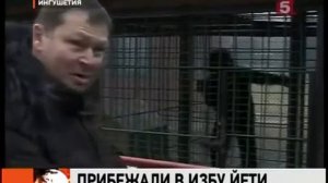 история искажение фактов