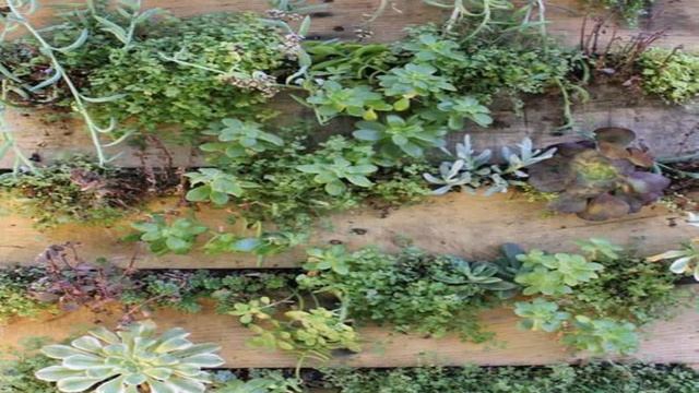 Поделки Своими Руками Быстро И Красиво смотреть онлайн