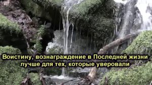 Красивое чтение Корана Мухаммад Аль-Люхайдан Сура "Юсуф"